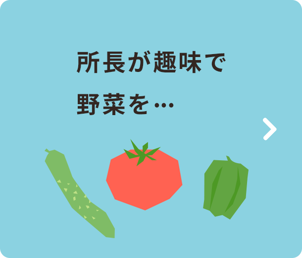 所長が趣味で野菜を