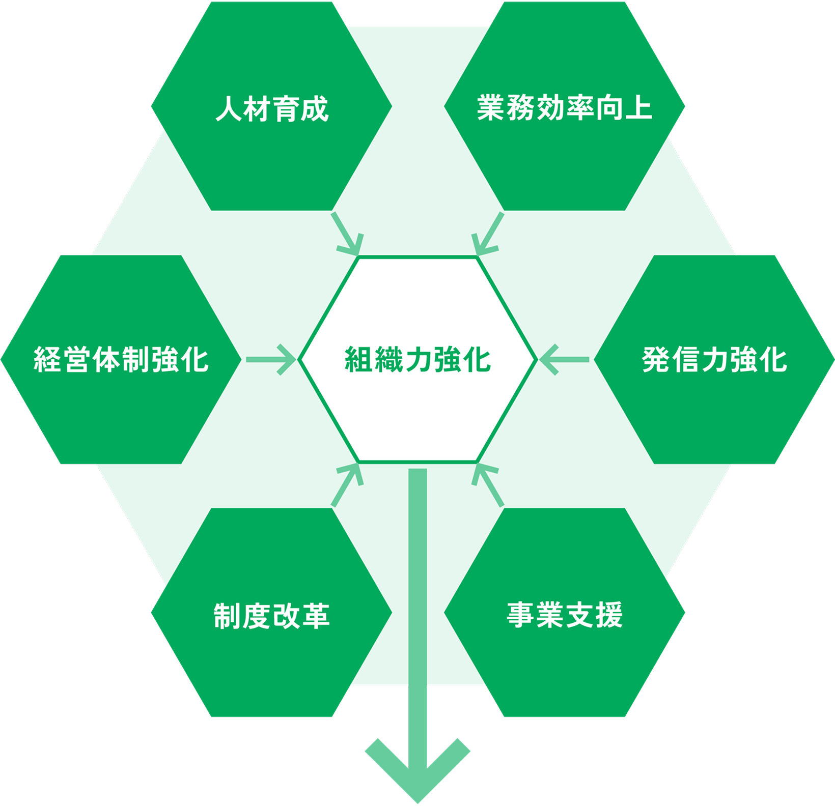 組織力強化について表した図